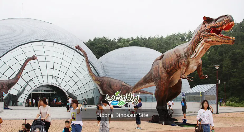 Bibong Dinosaur Site