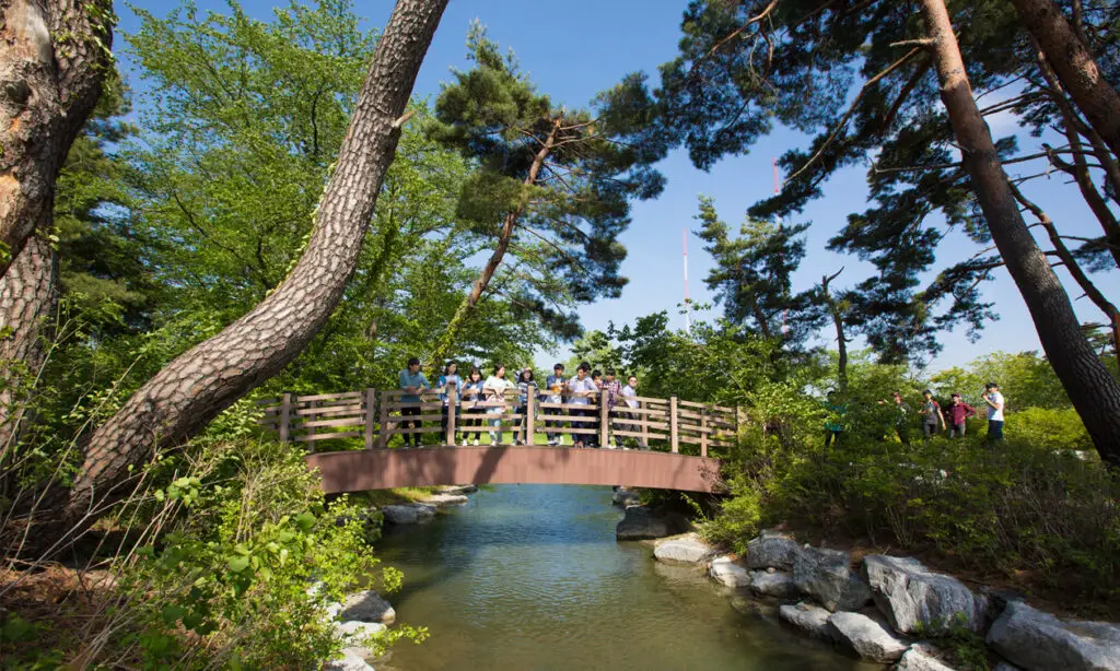 Gyeongpo Wetland,